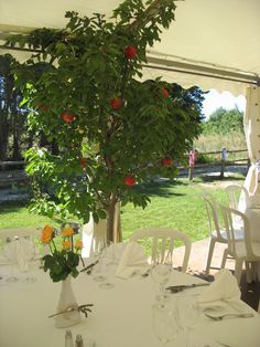 an outdoor dining area with tables, chairs and fruit tree in the middle of it