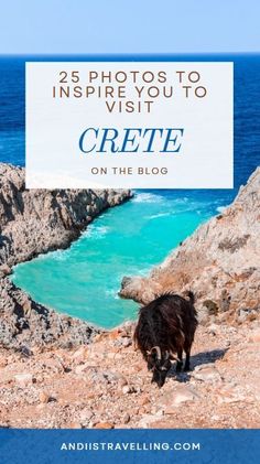 Looking for photos to inspire you to visit Crete? From the rugged landscapes and ancient ruins to pristine beaches and charming villages, Crete offers stunning visuals at every turn. Capture the beauty of its crystal-clear waters, dramatic mountains, and colorful sunsets. Let these photos spark your wanderlust and lead you to this breathtaking Greek island!