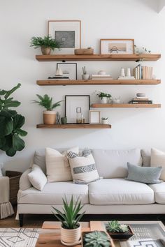 a living room filled with lots of furniture and plants on top of shelves above the couch