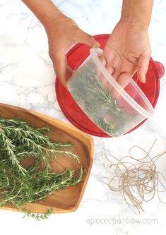 5 Minute DIY wreath making hack using a $1 food container to make rosemary, lavender, or Christmas wreaths! Easy nature crafts, farmhouse home decor & handmade gifts! - A Piece of Rainbow #diy #wreath #hacks #garden #flowers #herbs #homedecor #homedecorideas #diyhomedecor #crafts #boho #bohostyle #farmhouse #farmhousestyle #farmhousedecor crafts, boho living, decorations, harvest wreath, spring, summer, fall, Christmas ideas Easy Nature Crafts, Holiday Party Crafts, Diy Wreath Making, Smell Gift, Herb Wreath, Gift Wrapping Tutorial, Rosemary Green, Rosemary Lavender, Rainbow Diy