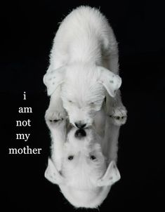 two white puppies playing with each other in front of a black background that says, i am not my mother