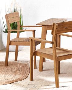 two wooden chairs sitting next to each other on top of a carpeted floor in front of a potted plant