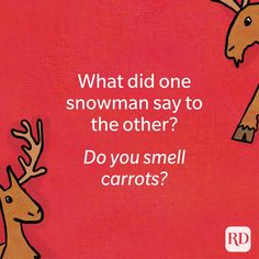 a red background with an image of two deers and the words, what did one snowman say to the other? do you smell carrots?