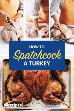 how to cook a turkey in the oven