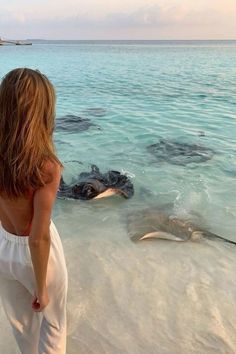 a woman standing on top of a sandy beach next to an elephant laying in the ocean