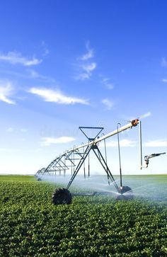 a sprinkler spraying water on a green field with blue sky in the background