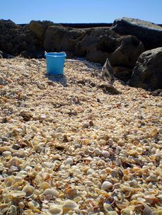 a bucket and some rocks on the beach