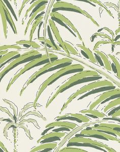 a green and white wallpaper with palm leaves