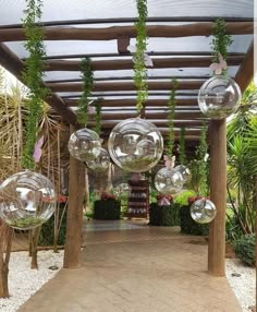 an outdoor area with clear balls hanging from the ceiling and plants growing out of them