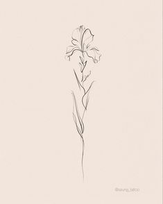 flower pencil minimal drawing Flower Tattoos Iris, Subtle Flower Tattoo, Tattoo Of Iris Flower, Flower Iris Tattoo, Delicate Iris Tattoo, Iris Tattoo Line Art, Tattoo Ideas Iris Flower, Minimalist Iris Flower Tattoo, Fineline Iris Tattoo