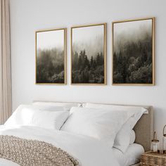 three framed pictures hang above a bed in a bedroom