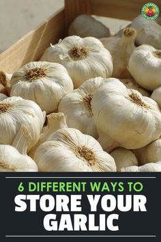 garlic bulbs in a cardboard box with the title 6 different ways to store your garlic