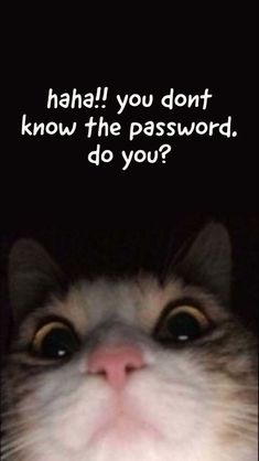 a close up of a cat's face with the caption haha you don't know the password, do you?