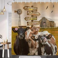 three cows are standing in front of a signpost with directions to different locations on it