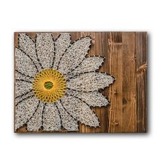 a white and yellow flower on a wooden surface