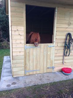 a brown horse sticking its head out of a stable