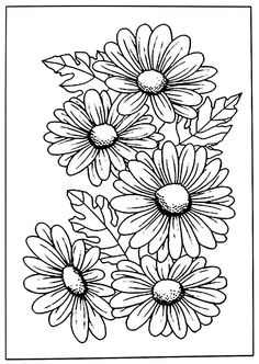 black and white drawing of daisies with leaves