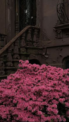 pink flowers are blooming in front of an old building