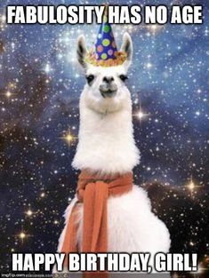 an alpaca wearing a party hat with the caption, happy birthday girl