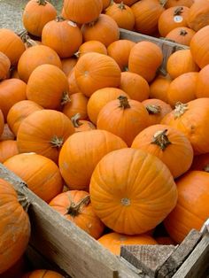 several wooden boxes filled with lots of orange pumpkins