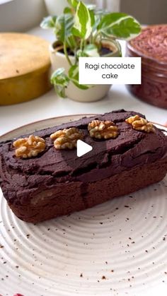 a piece of chocolate cake sitting on top of a white plate next to a potted plant