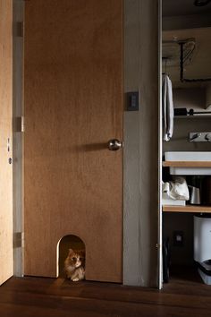 a cat peeking out from behind a door in a room with shelves and other items