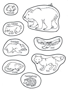 an animal worksheet for kids to learn how to read the animals and their names