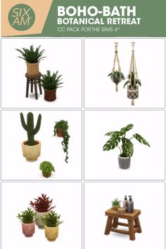 various potted plants are arranged in different shapes and sizes, with the words bohobath botanical retreat on them