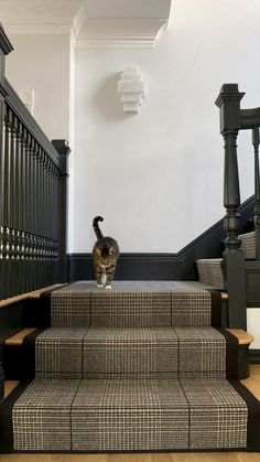 a cat standing on top of some steps in front of a stair case and railing