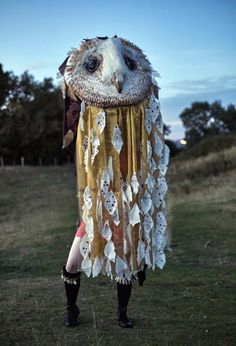 an owl is wearing a costume with feathers on it's head and eyes, while standing in the grass