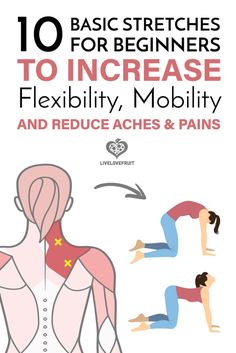 the front cover of 10 basic stretches for beginners to increase flexibility, mobility and reduce ac