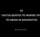 a black background with white text that reads 70 cactus quotes to inspire you to grow in adversities