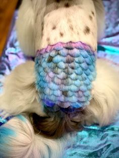 a white dog with blue and pink hair on it's head sitting on a bed