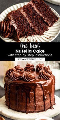 the best nutella cake with chocolate frosting is on a white plate, and it has