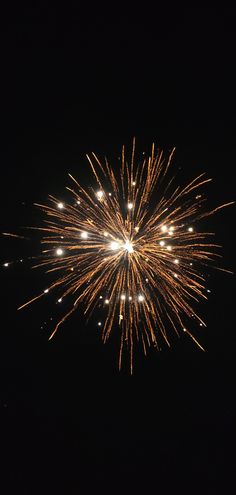 fireworks exploding in the dark sky at night