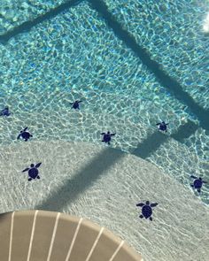 an overhead view of a swimming pool with turtles in the water