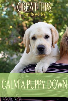 a woman holding a puppy in her arms with the caption saying, great tips on how to calm a puppy down