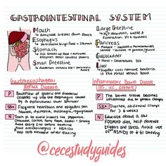 a hand drawn diagram with instructions on how to use the gastrointe system