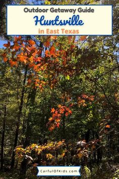 the woods and trees with text overlay that reads outdoor getaway guide huntsville in east texas