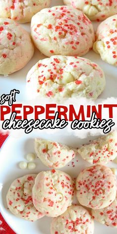 NA Simple Christmas Sweets, Bake Sale Ideas Fundraiser, Christmas Snack Ideas For Party, Peppermint Christmas Cookies, Christmas Food Ideas, Bake Sale Treats, Christmas Cookies Recipes, Cookie Exchange Recipes, Peppermint Cheesecake