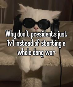 a white cat wearing sunglasses and headphones with the caption why don't presidents just