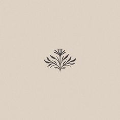 a black and white drawing of a plant on a light beige background with the words,