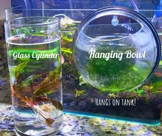 two glasses filled with water sitting on top of a counter