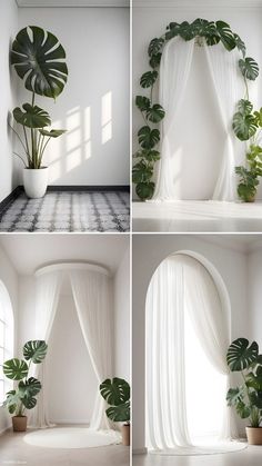 four different shots of a white room with plants