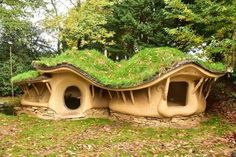 an unusual house with grass roof in the woods