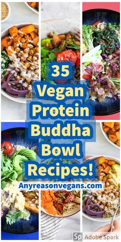 vegan protein buddha bowl recipe collage with text overlay that reads 35 vegan protein buddha bowl recipes