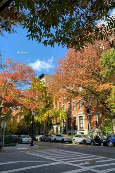 an empty street with parked cars and trees