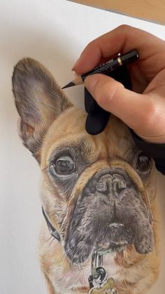 a drawing of a dog is being drawn by someone's hand with a marker