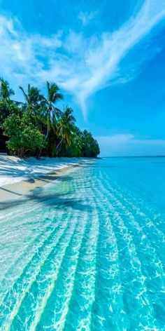 the water is very clear and blue in this tropical beach scene, with palm trees on either side