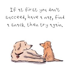 two dogs sitting next to each other with a quote on the back saying if it first you don't proceed, have a nap find a snack then try again